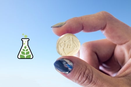 Best Edibles in Florida: Why Sanctuary Medicinals is the Top Choice